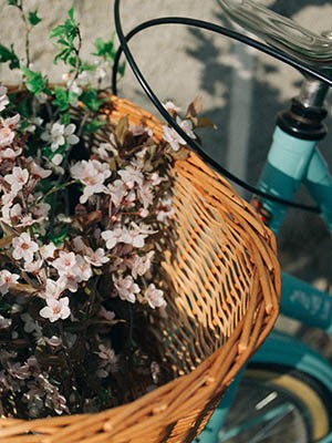 Spring Sale
