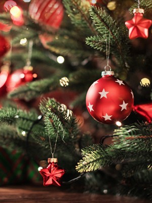 Christmas Sale
